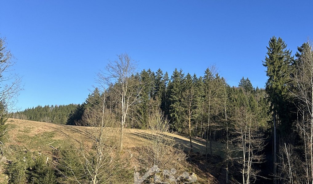 Prodej louky 14 441 m², Bozkov – náhled fotky 10