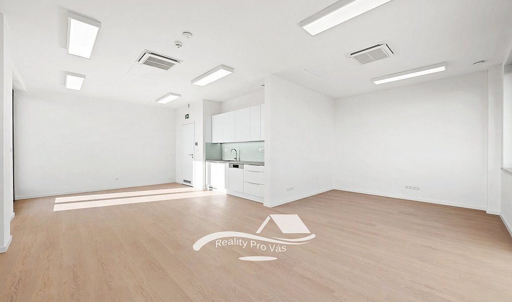 Pronájem bytu 1+kk 46 m², Brno – náhled fotky 4
