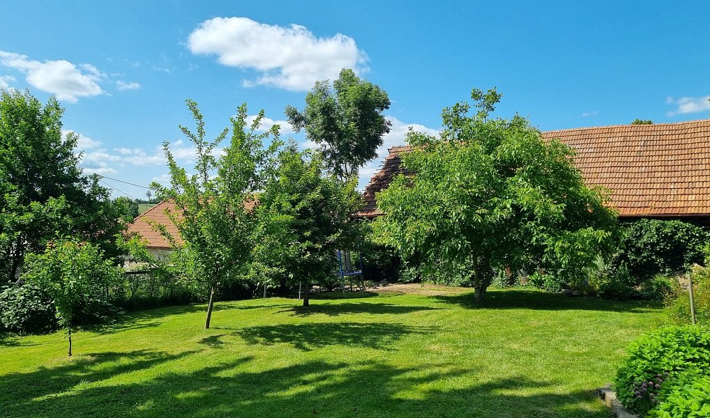 Prodej domu 200 m² s pozemkem 1 325 m², Žďárná – náhled fotky 3
