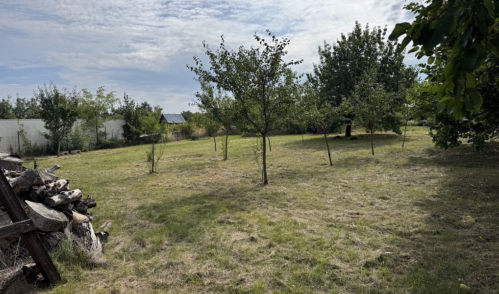 Prodej zahrady 1 171 m², Valtice – náhled fotky 12