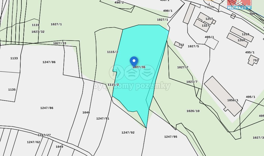 Prodej lesa 6 740 m², Kralovice – náhled fotky 4