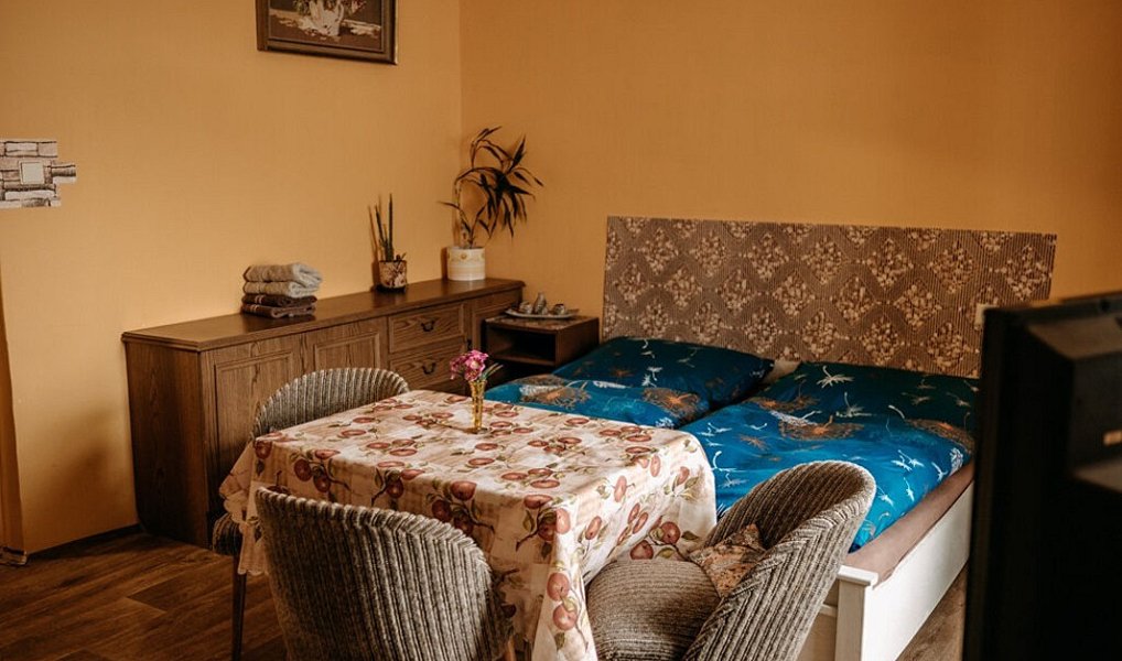 Prodej ubytovacího objektu 705 m², Chřibská – náhled fotky 11