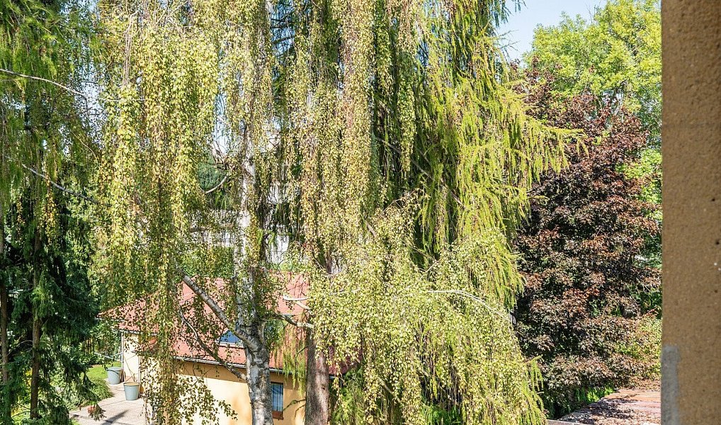 Prodej bytu 3+1 69 m², Kladno – náhled fotky 21