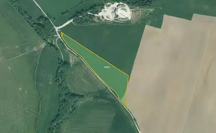 Prodej pole 16 199 m², Bor - Skviřín, okres Tachov