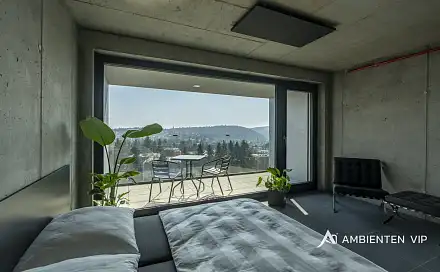 Pronájem bytu 1+kk 42 m², Královopolská, Brno - Žabovřesky