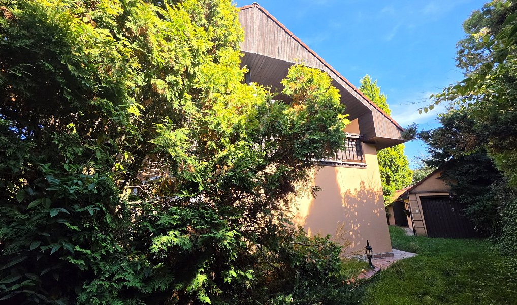 Prodej domu 250 m² s pozemkem 503 m², Vysoká – náhled fotky 13