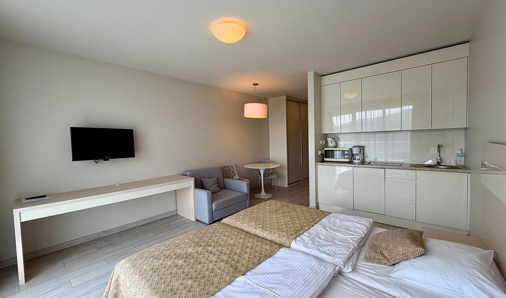 Prodej bytu 1+kk 28 m², Dolní Morava – náhled fotky 4