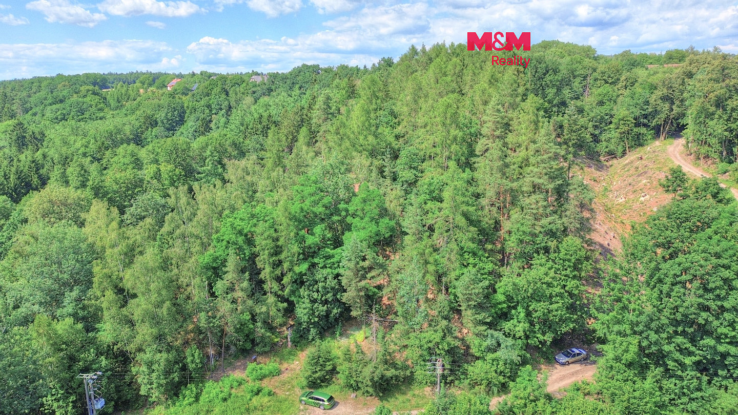 Prodej lesa 32 996 m²