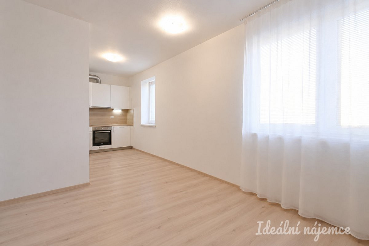 Pronájem bytu 1+kk 40 m² – fotografie 4
