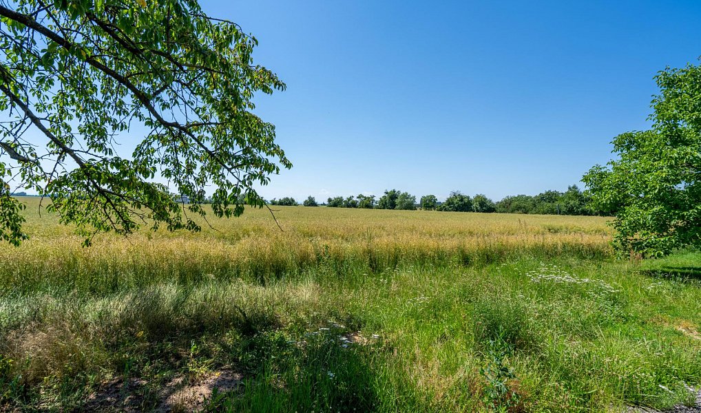Prodej stavebního pozemku 14 692 m², Stěžery – náhled fotky 4