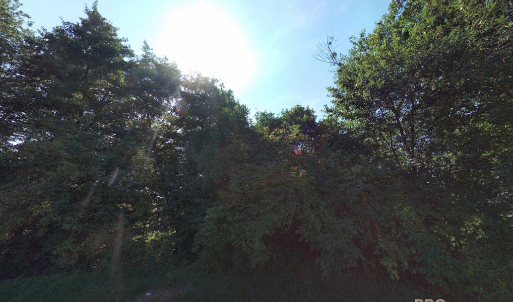 Prodej louky 4 459 m², Traplice – náhled fotky 2