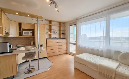 Prodej bytu 1+kk 26 m², Svídnická, Praha 8 - Troja