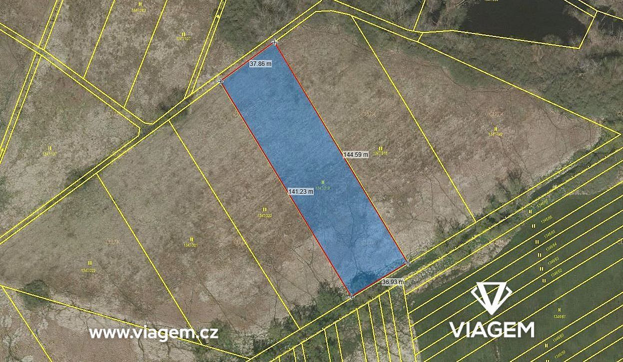 Prodej pole 2 695 m² – fotografie 2