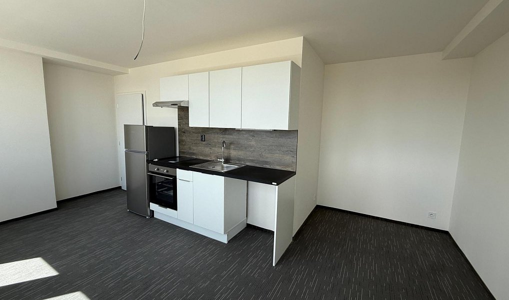 Pronájem bytu 1+kk 26 m², Chomutov – náhled fotky 4