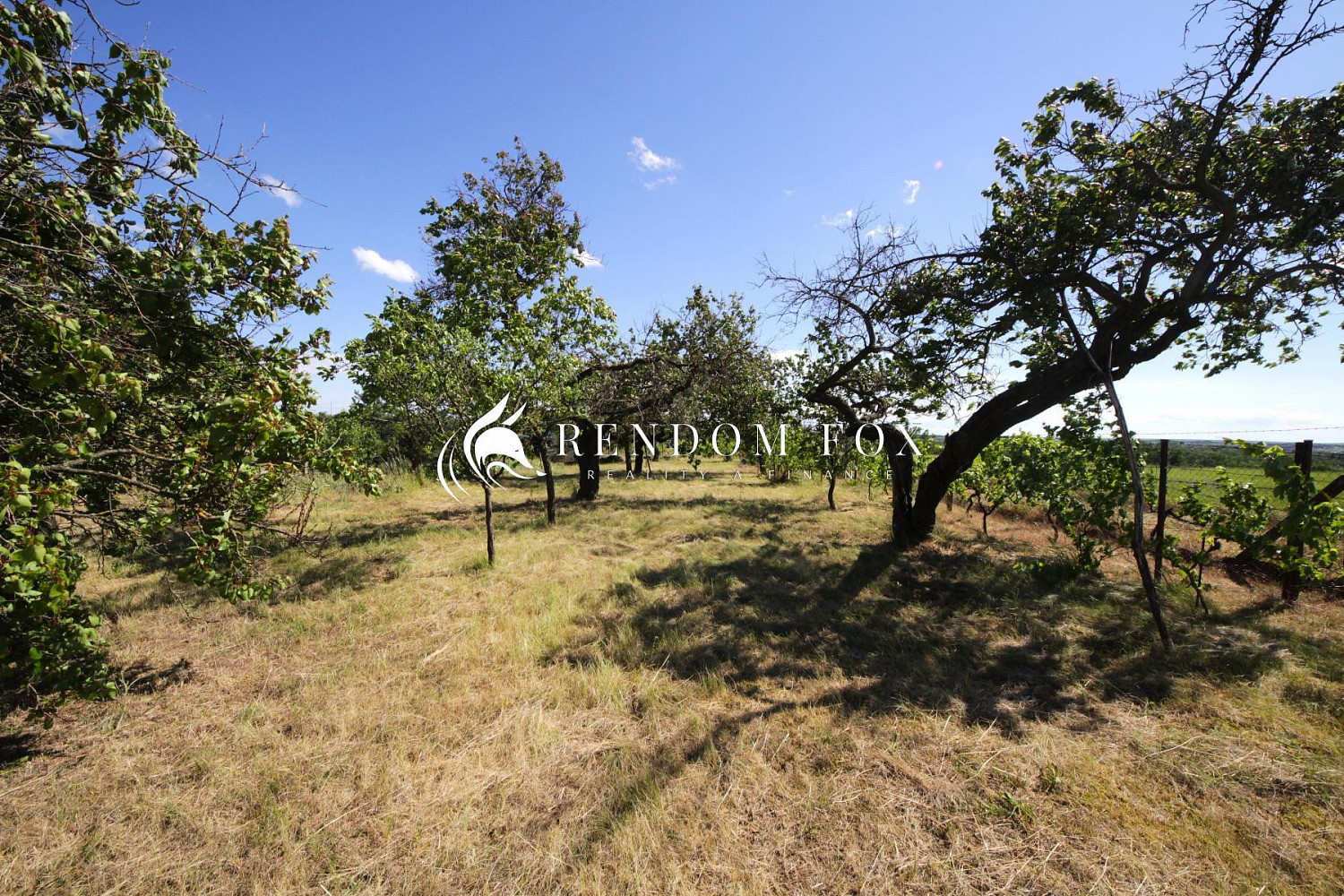 Prodej zahrady 2 196 m² — photo 2
