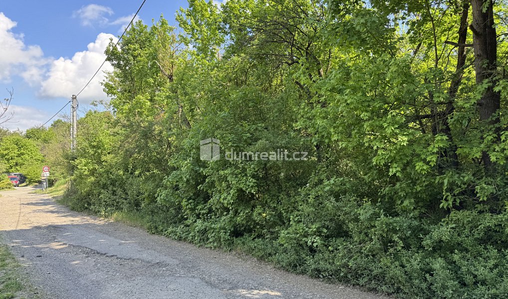 Prodej louky 5 056 m², Uherské Hradiště – náhled fotky 2