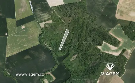 Ostatní