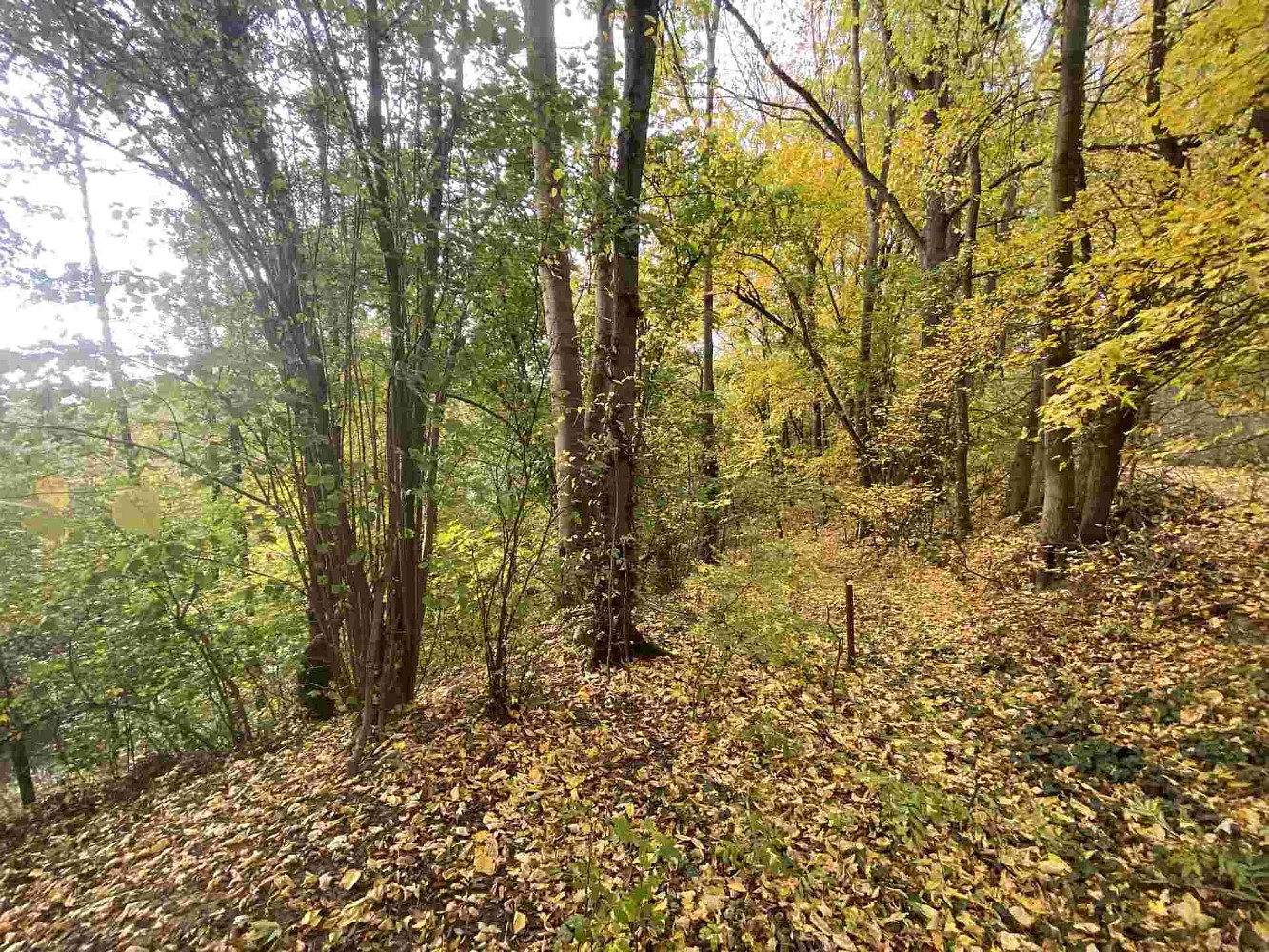 Prodej pozemku 2 639 m²