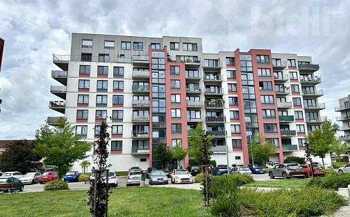 Pronájem bytu 1+kk 38 m², Pardubice - Zelené Předměstí