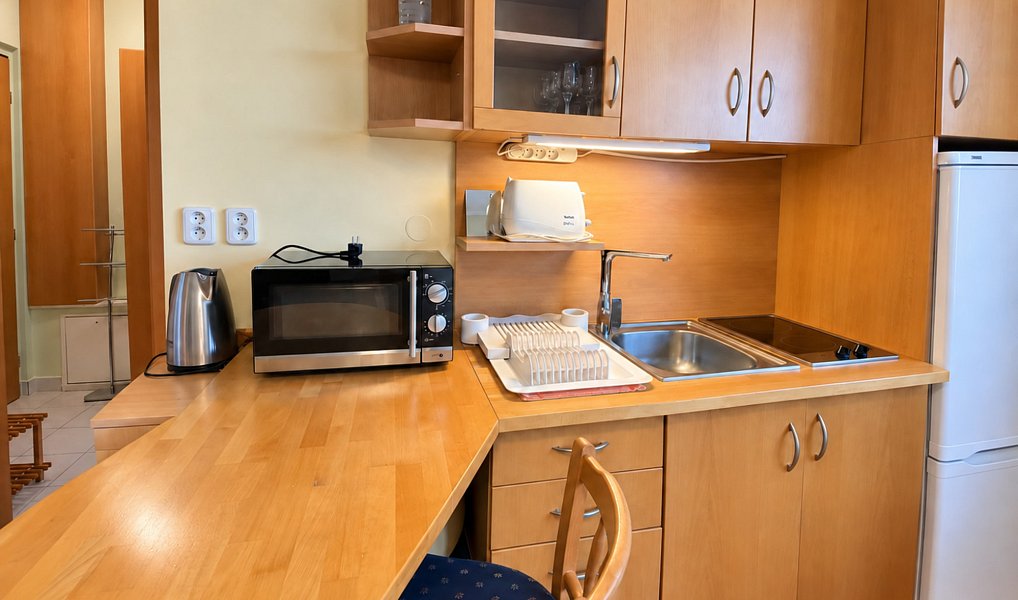 Pronájem bytu 1+kk 25 m², Praha – náhled fotky 6