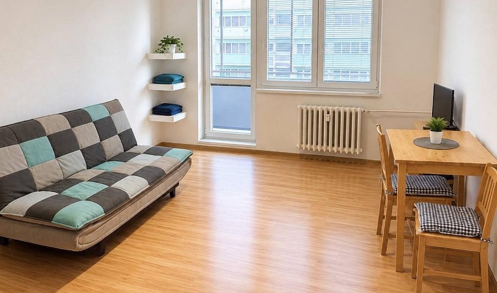 Pronájem bytu 1+kk 30 m², Ostrava – náhled fotky 2