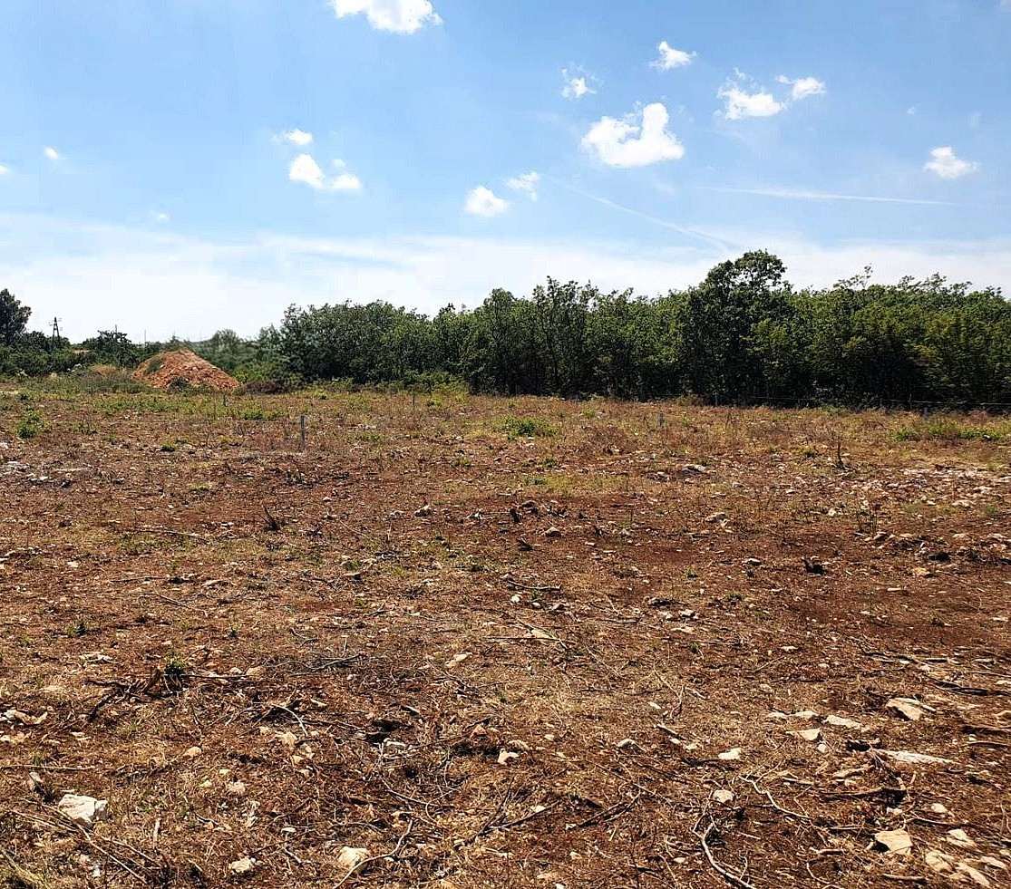 Prodej stavebního pozemku 730 m²