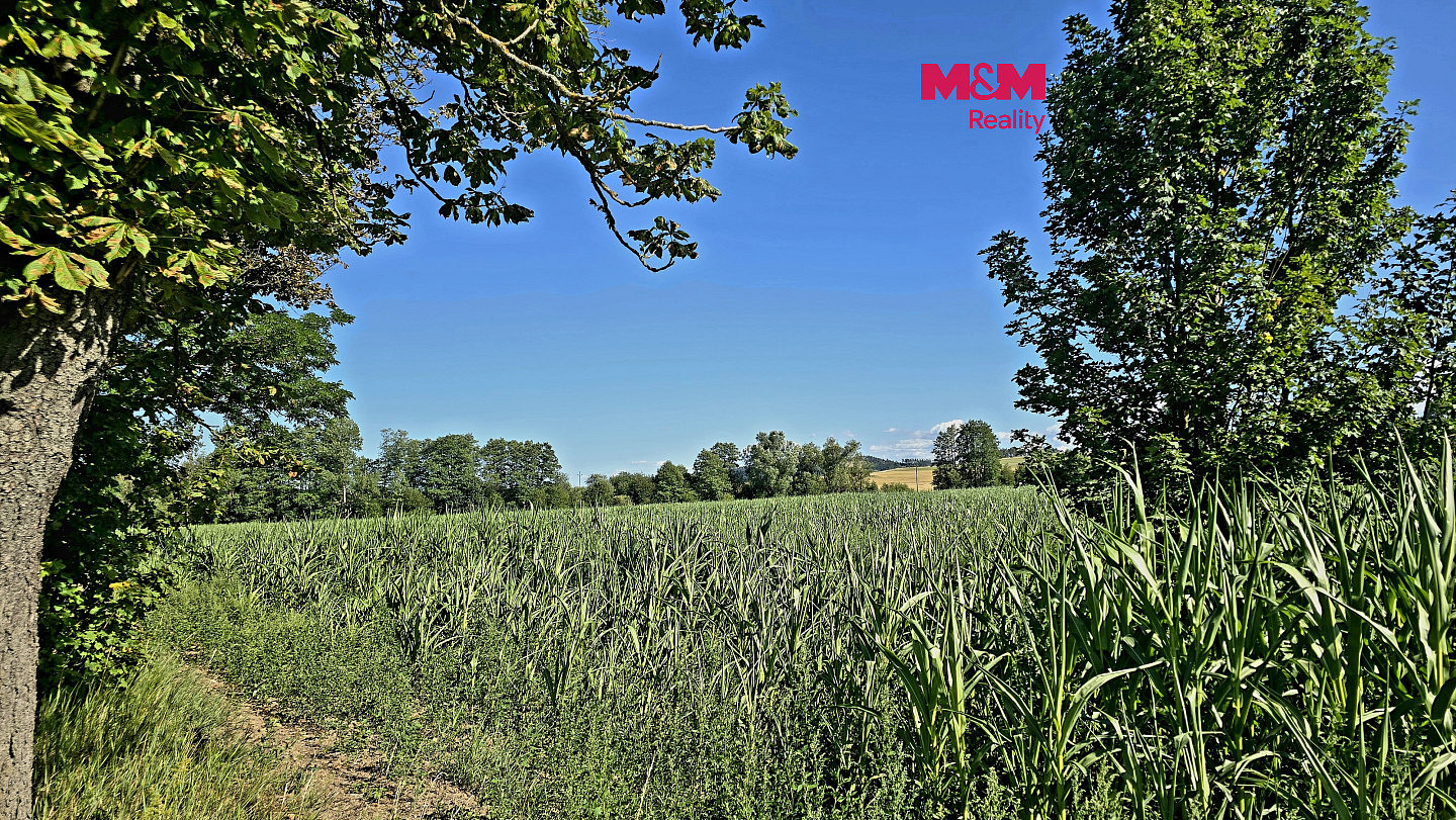 Prodej pole 31 359 m²