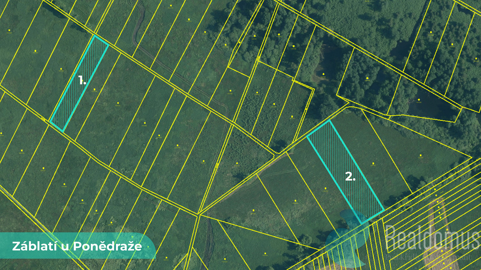 Prodej pole 4 195 m² – fotografie 5