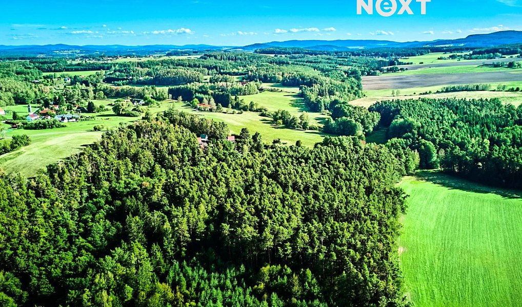 Prodej lesa 13 404 m², Hradce – náhled fotky 11