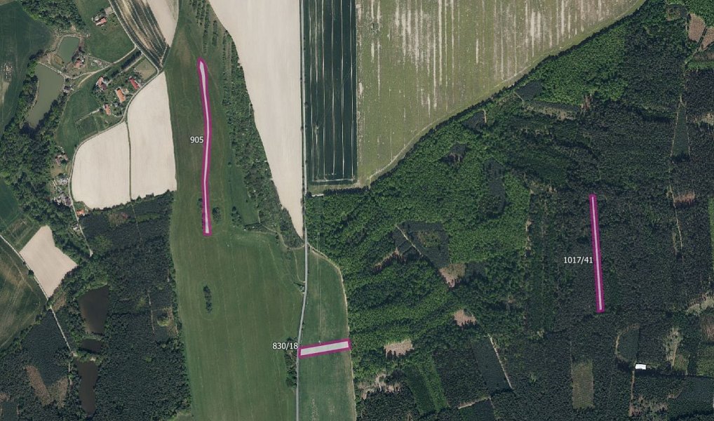 Prodej louky 19 893 m², Zaječice – náhled fotky 2