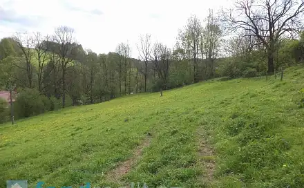 Prodej pozemku 12 271 m², Rudník, okres Trutnov