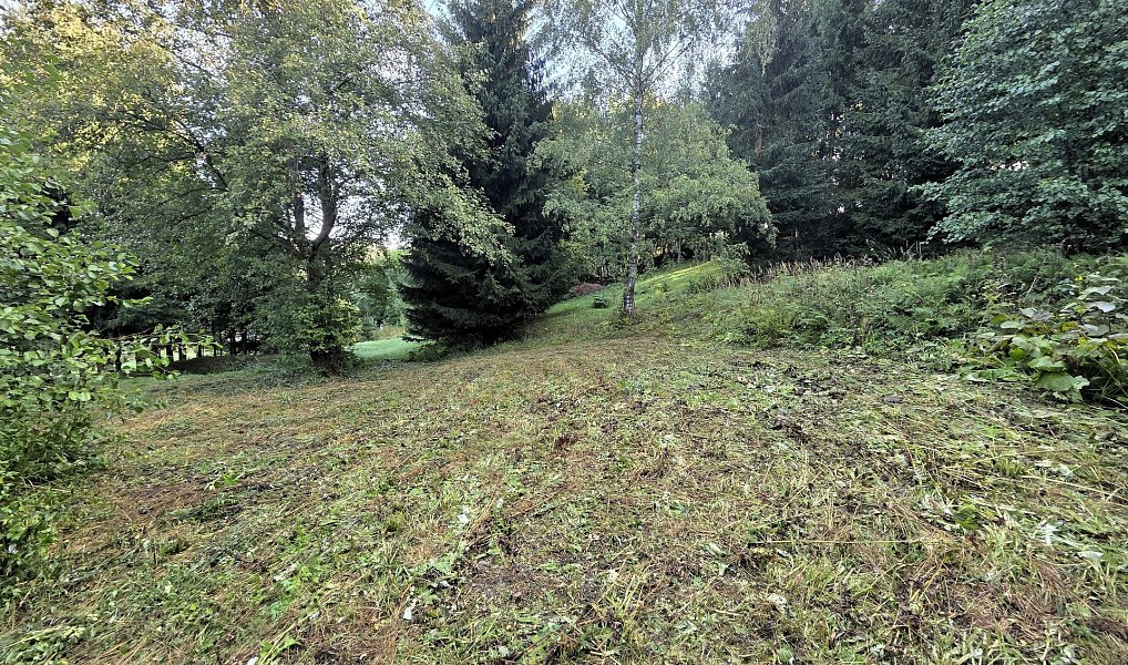 Prodej stavebního pozemku 1 032 m², Vysoké nad Jizerou – náhled fotky 5