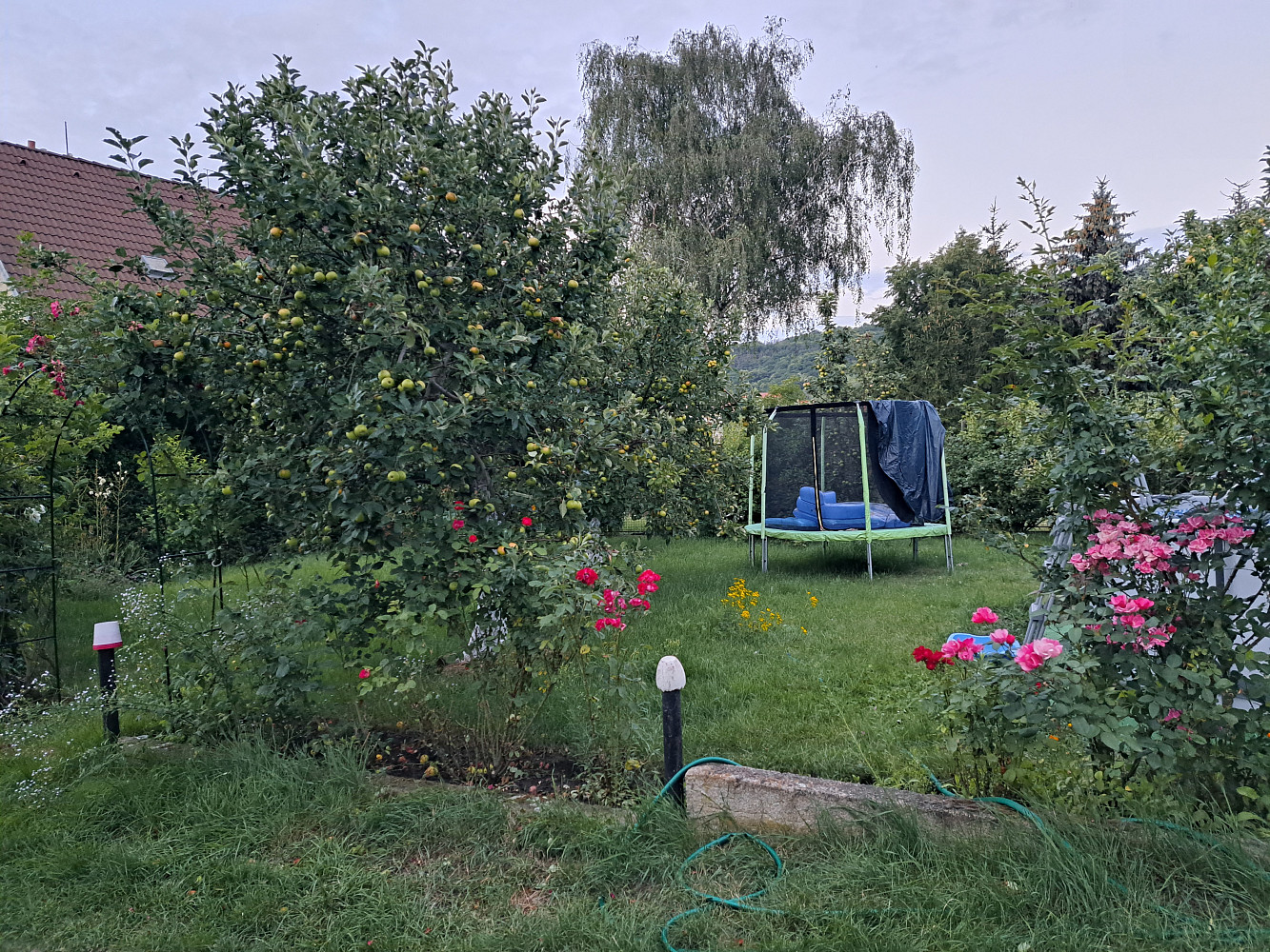 Prodej domu 300 m² s pozemkem 1 233 m² — photo 5