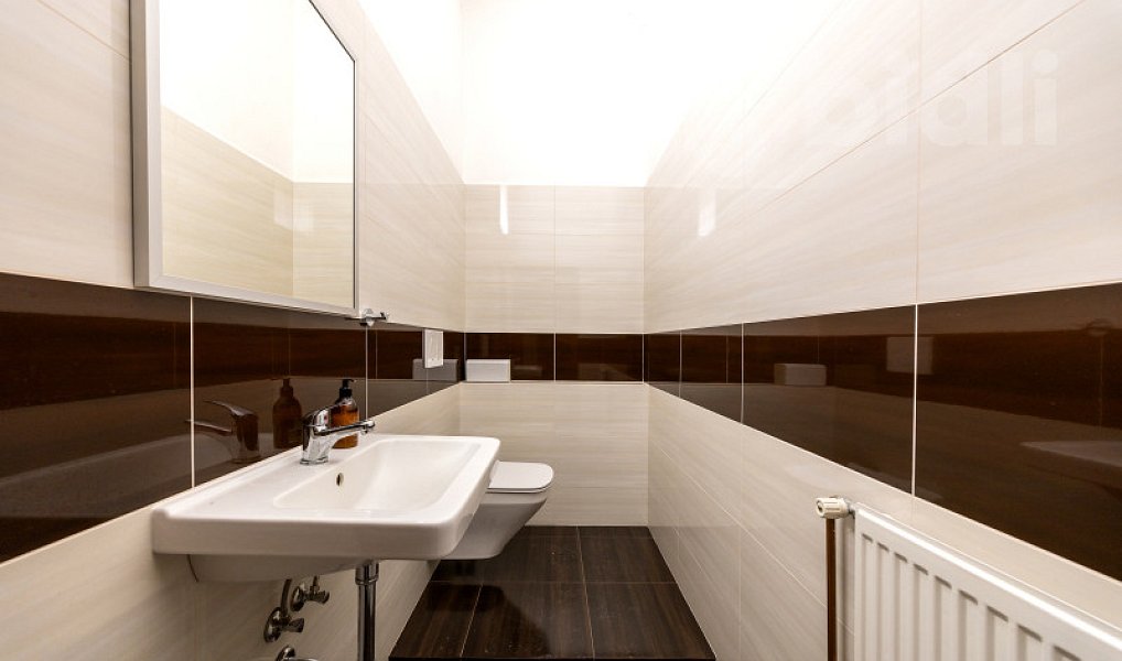Prodej obchodních prostor 670 m², Dolní Kalná – náhled fotky 14