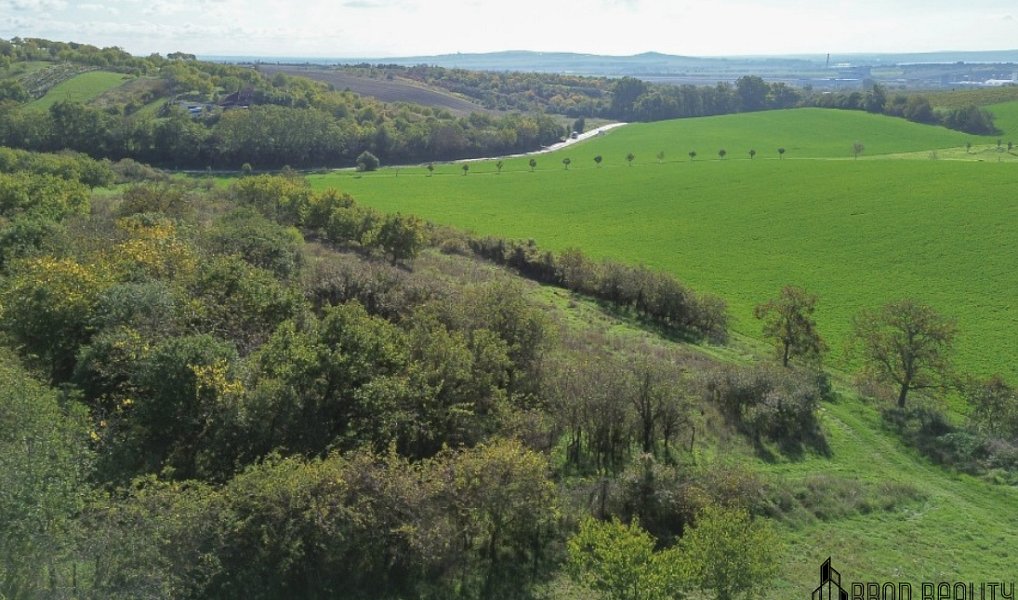 Prodej zahrady 6 601 m², Hrušovany u Brna – náhled fotky 10