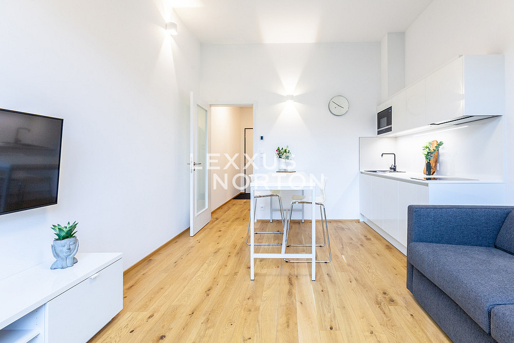 Pronájem bytu 1+kk 31 m² – pohled 4