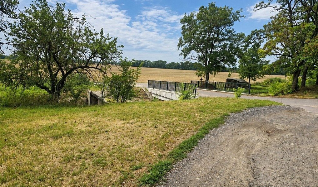 Prodej stavebního pozemku 4 308 m², Dyjákovice – náhled fotky 8