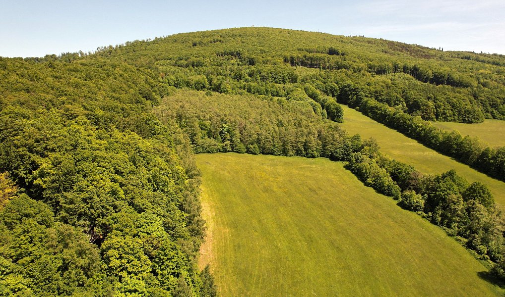 Prodej chaty/chalupy 42 m² s pozemkem 676 m², Zlaté Hory – náhled fotky 21