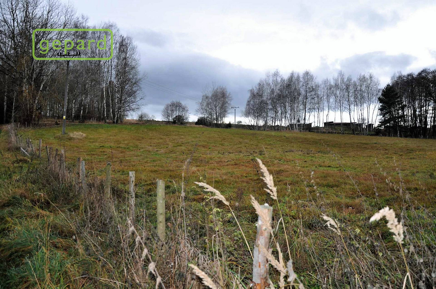 Prodej pole 4 674 m² – pohled 4