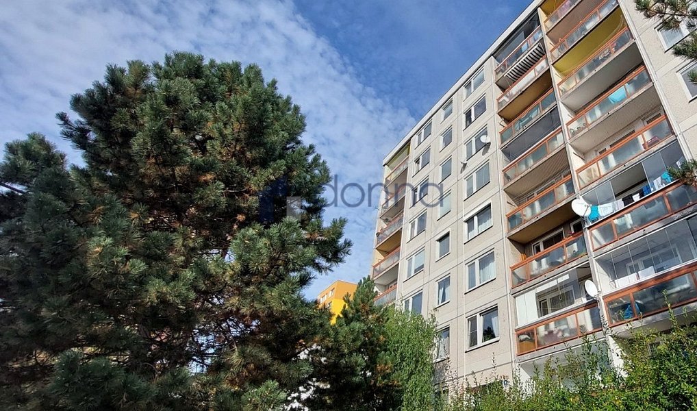 Pronájem bytu 1+kk 30 m², Praha – náhled fotky 9