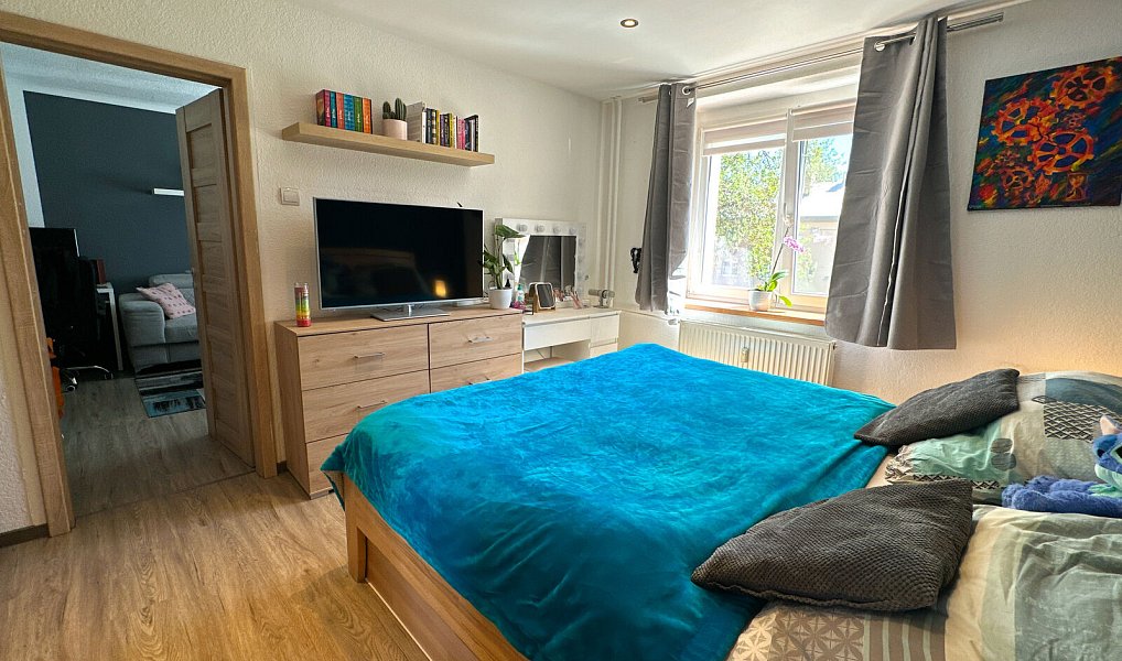 Prodej bytu 2+1 48 m², Bor – náhled fotky 19