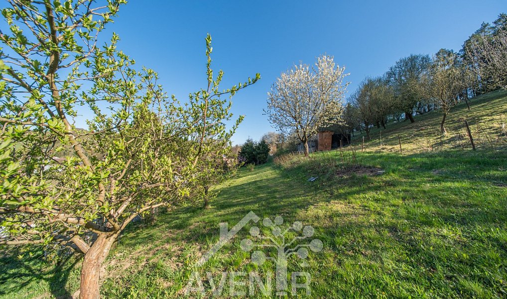 Prodej chaty/chalupy 33 m² s pozemkem 1 674 m², Kašava – náhled fotky 34