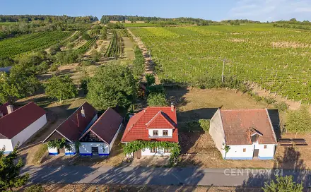 Vinný sklep 83m2, pozemky 8.420m2, Blatince pod Svatým Antonínkem, Blatnice pod Svatým Antonínkem, okres Hodonín