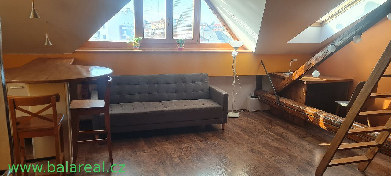 Pronájem bytu 1+kk 50 m² – fotografie 3