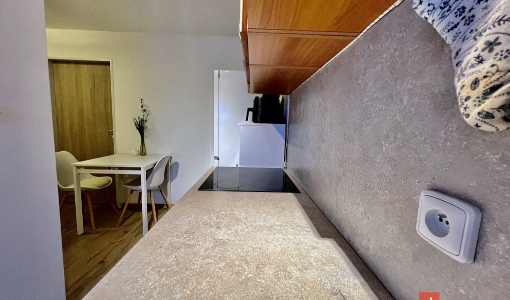 Pronájem bytu 1+1 40 m², Opava – náhled fotky 12