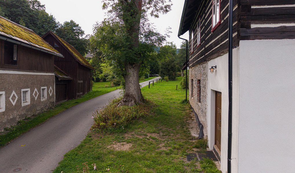 Prodej chaty/chalupy 253 m² s pozemkem 1 555 m², Bartošovice v Orlických horách – náhled fotky 11