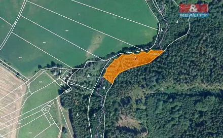 Prodej lesa 4 280 m², Borotice, okres Příbram