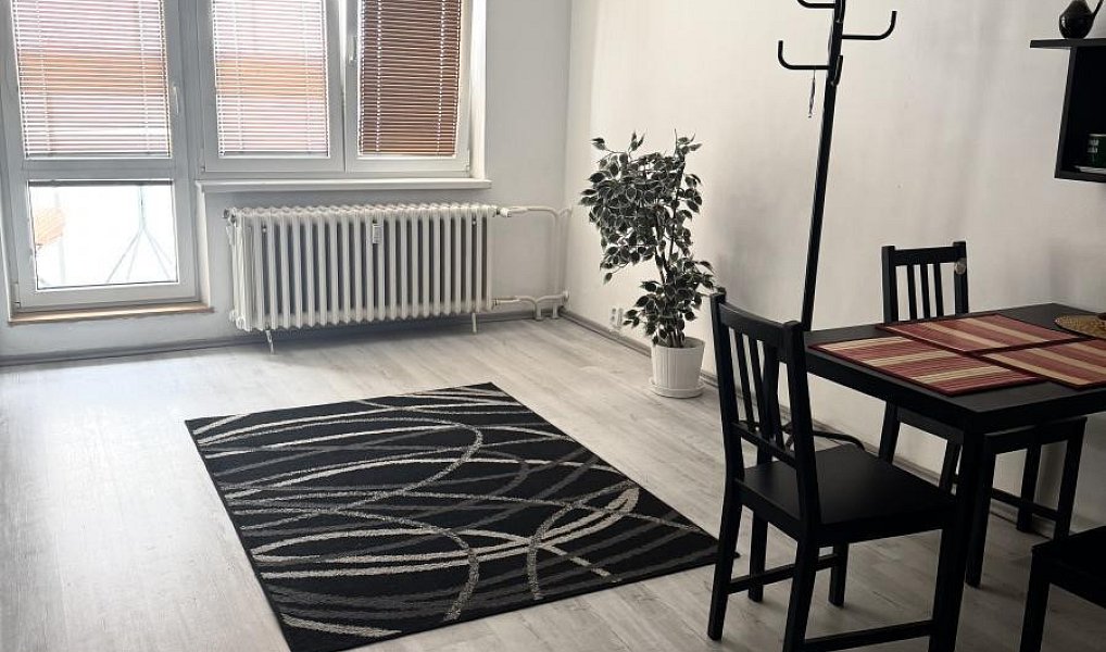 Prodej bytu 1+kk 27 m², Ostrava – náhled fotky 10