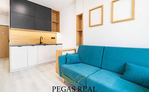 Pronájem bytu 1+kk 19 m², Dornych, Brno - Komárov