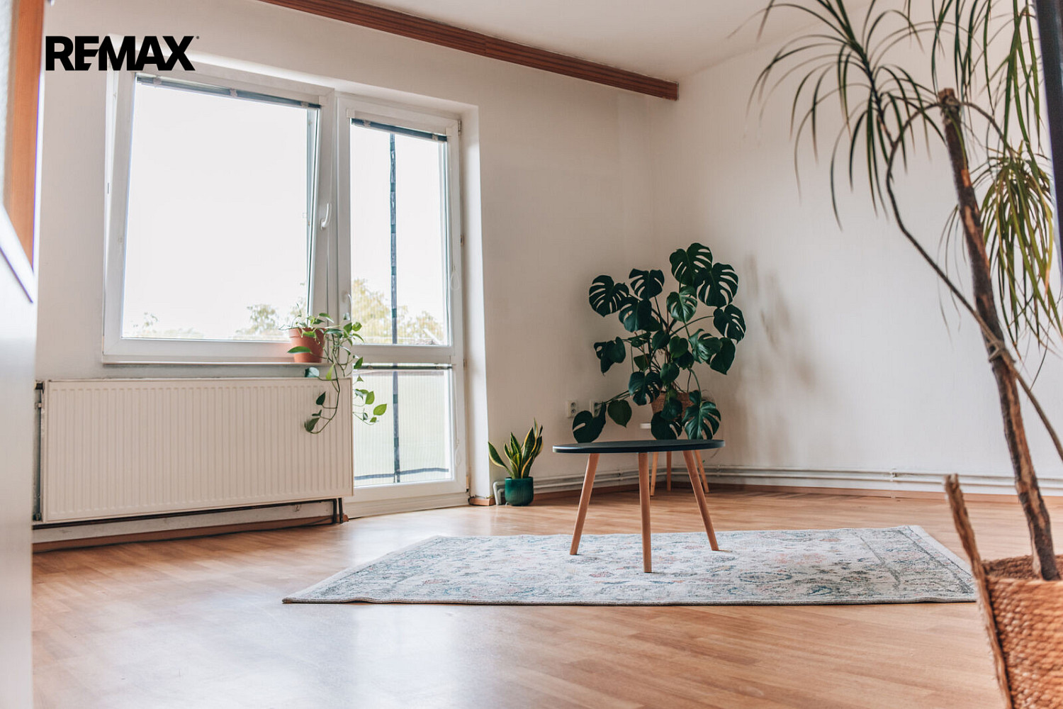 Prodej bytu 3+1 82 m²